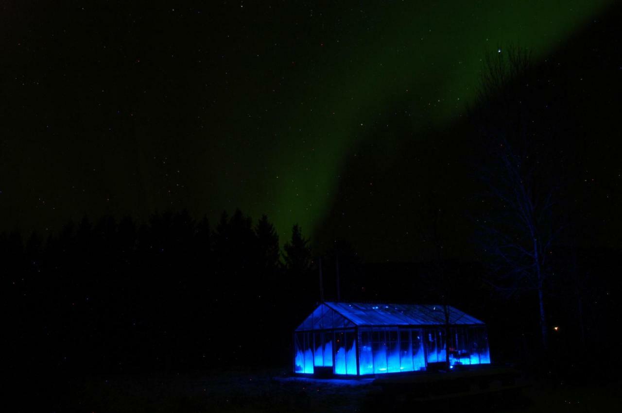 Art Studio Sortland Kültér fotó